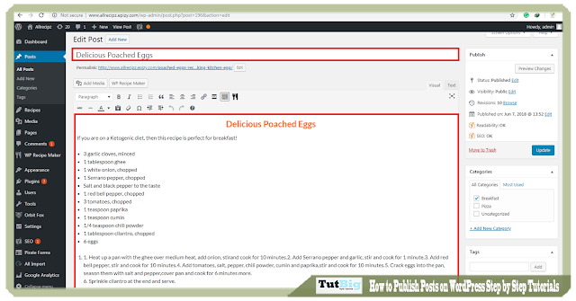  welcome to the TutBig today I volition present you lot  How to Publish Posts on WordPress Step past times Step Tutorials