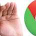 Google Chrome 25