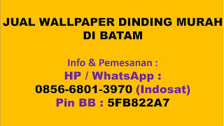 Harga Wallpaper Dinding Murah di Batam, Jual Wallpaper Dinding Murah Batam, Toko Wallpaper Dinding Batam, aneka wallpaper dinding batam, jual kertas dinding batam 2016 2017, 