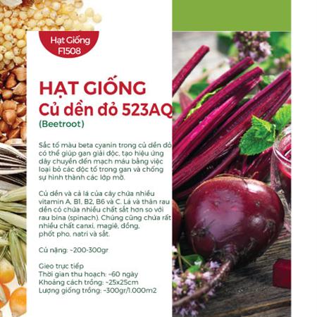 Hạt giống Củ dền đỏ 523AQ