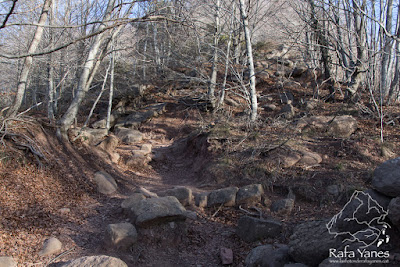 Ruta: Puigsacalm (1.515 m) y Puig de les Àligues (1.344 m) (Els 100 Cims)