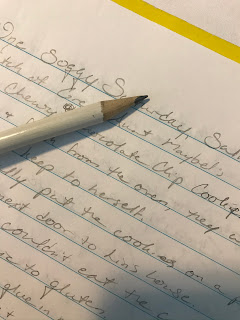 Close-up of a different notebook page with words written in pencil, and the pencil sits across the page, obscuring many of the words.