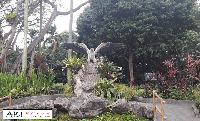 Tempat Wisata Di Singapura Paling Menarik  Jurong Bird Park