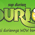Segarnya sop durian DURIO Depok