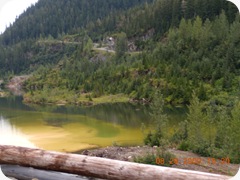 DSCN0229