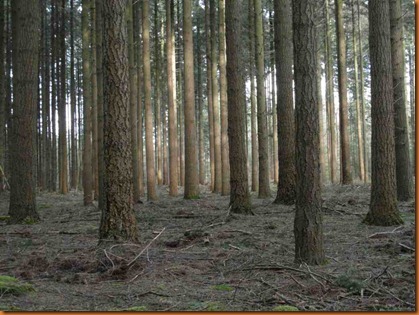 Herschaalde kopie van SAM_0264