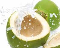 sejumlah khasiat dalam air kelapa muda bagi kesehatan tubuh anda