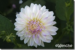 IMG_0030
