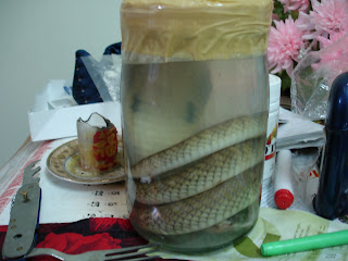 The snake was killed to make snake wine. His brother was cooked into a soup. Ewww. 