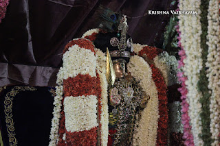 Aani,Vidaiyatri,Puspha Pallakku, Purappadu, Vahanam,Sri Theliya Singar, Yoga Narasimhar,Brahmotsavam ,Purappadu,Video, Divya Prabhandam,Sri Parthasarathy Perumal, Triplicane,Thiruvallikeni,Utsavam,