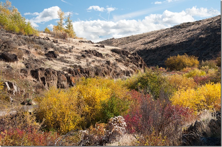 Cowiche Canyon-4