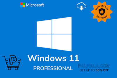 Windows 10 11 PRO Key