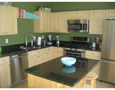 Green Kitchen Appliances on Wandering Thoughts Of A Scientific Housewife  Green Kitchens