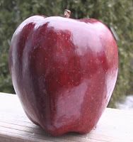 A  tally, shiny apple with a deep red blush