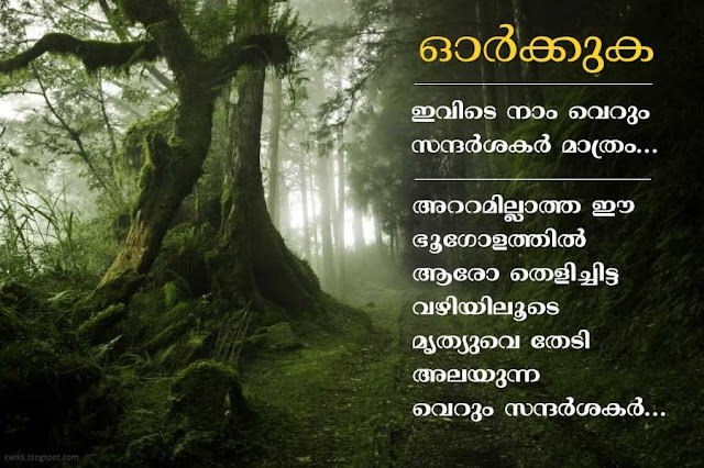 Shareable Malayalam Quotes about life and nostalgia | Kwikk Malayalam Quotes Collection