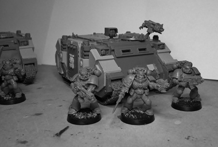 FW Rhinos 2 (800x539)