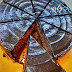 [Curly Baker] Cake Cokelat BCL