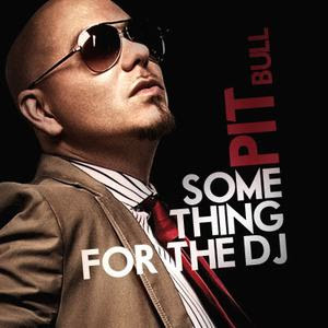 Pitbull - Something For The Dj