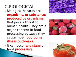  Types Hazard food usph haccp safety 4 9 high risk biological