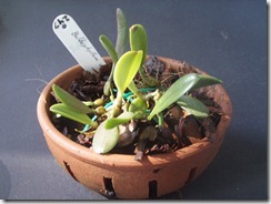 P2060006[1]