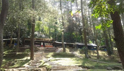 Taman Hutan Raya Juanda