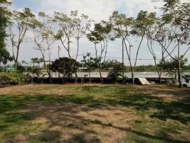 ขายที่ดินริมน้ำเจ้าพระยา ปากเกร็ด 622 วา ติดถนนราชพฤกษ์ วิวสวย ฟรีโอน 55 ล้าน