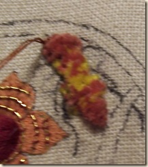 wasp_5