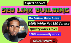 Offer for link building job