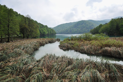 Plitvice Lakes National Park, Lower, 下湖, 克羅地亞, 十六湖