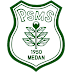 PSMS Medan - Effectif - Liste des Joueurs