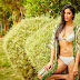 Sexy Pooja Hegde Bikini Images | Pooja Hegde Hot Pics