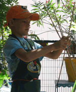 preparatifs pour la creation du bassin d'agrement