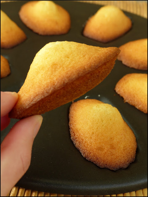 Madeleines