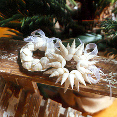 Seashell Centerpieces  Weddings on Design By Cathleen  A Beach Christmas