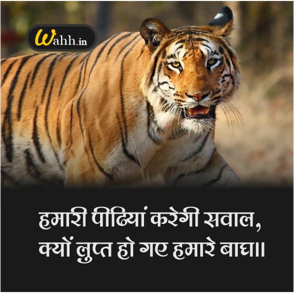 Inspirational Tiger Captions In Hindi