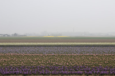 Noordwijk