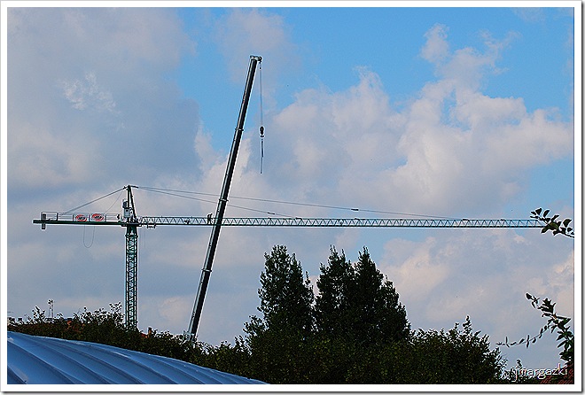 DSC_02020111