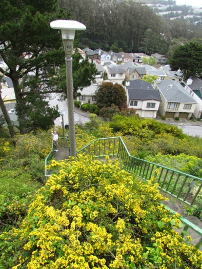 MtSutroStairways-21-2012-04-14-21-23.jpg