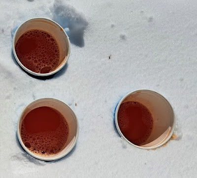 Three paper cups of jello liquid sitting in the snow.