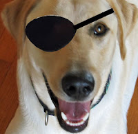 Dog Eye Patch2