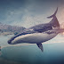 Whale Photoshop Manipulation By Picture Fun