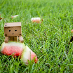 Wallpaper Danbo Box @ digaleri.com