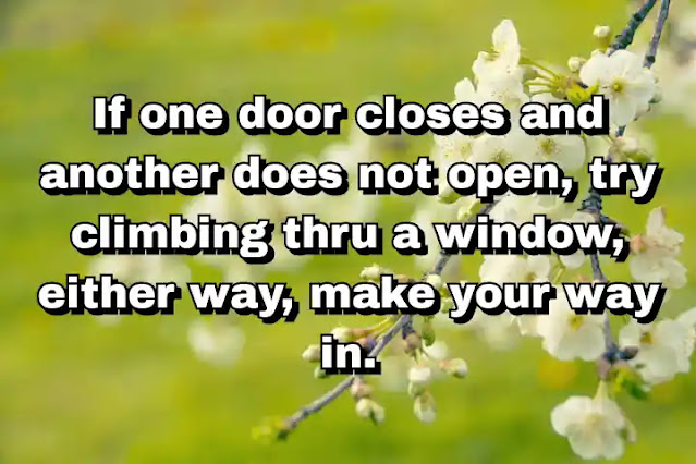 "If one door closes and another does not open, try climbing thru a window, either way, make your way in." ~ Behdad Sami