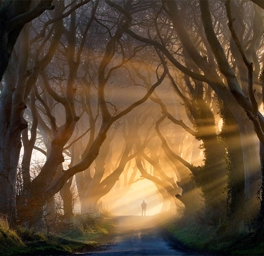 This majestic forest located in Stranocum, Ireland holds all sorts of mystical delights. No telling who awaits at the end of the tree tunnel–be they naughty or nice. - Tiny Humans Lost In The Majesty Of Nature