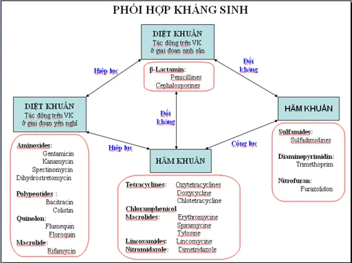 Khi phối hợp hai kháng sinh, cần tuân thủ một số nguyên tắc sau: