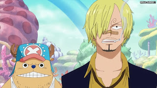 ワンピースアニメ 魚人島編 534話 サンジ チョッパー | ONE PIECE Episode 534