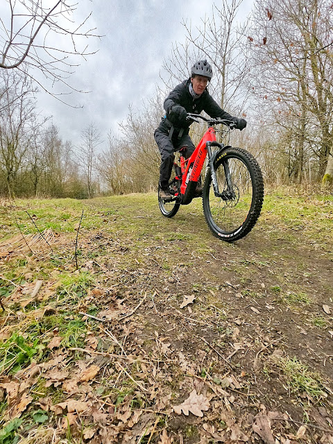 Hedley Hall Woods