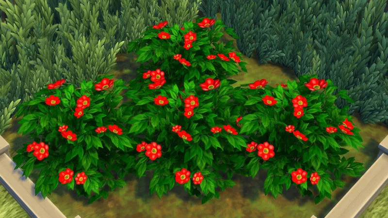 The Sims 4 Outdoor Plants