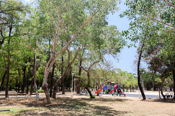 高雄鳳山大東濕地公園大型生態池塘、森林步道，綠意盎然