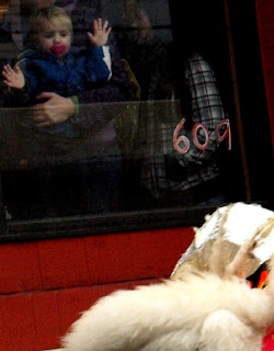 Chinese New Year - Seattle